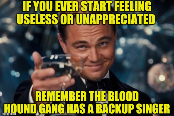 Leonardo Dicaprio Cheers | IF YOU EVER START FEELING USELESS OR UNAPPRECIATED; REMEMBER THE BLOOD HOUND GANG HAS A BACKUP SINGER | image tagged in memes,leonardo dicaprio cheers | made w/ Imgflip meme maker