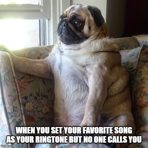 Pug |  WHEN YOU SET YOUR FAVORITE SONG AS YOUR RINGTONE BUT NO ONE CALLS YOU | image tagged in pug,ringtones,call,memes,funny memes | made w/ Imgflip meme maker
