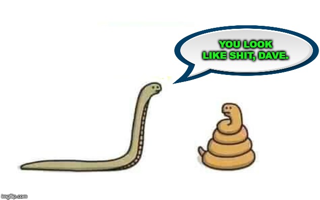 Snake Talk | YOU LOOK LIKE SHIT, DAVE. | image tagged in snakes,shit,dave | made w/ Imgflip meme maker