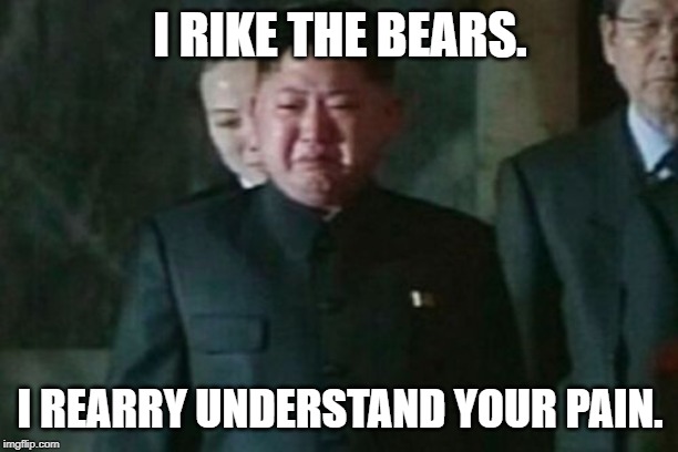 Kim Jong Un Sad Meme | I RIKE THE BEARS. I REARRY UNDERSTAND YOUR PAIN. | image tagged in memes,kim jong un sad | made w/ Imgflip meme maker