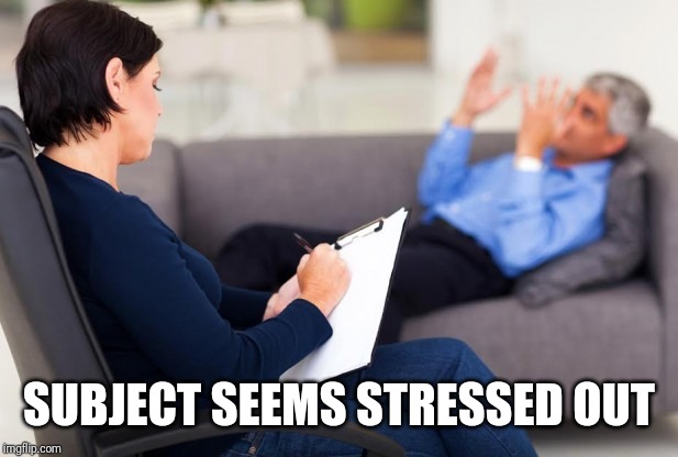 psychiatrist | SUBJECT SEEMS STRESSED OUT | image tagged in psychiatrist | made w/ Imgflip meme maker