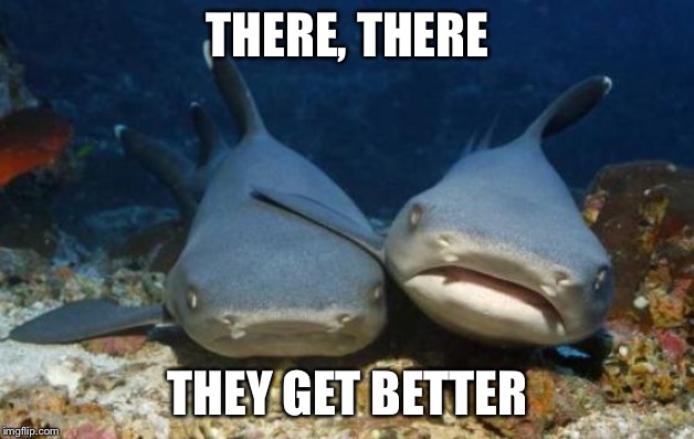 empathetic shark | THERE, THERE THEY GET BETTER | image tagged in empathetic shark | made w/ Imgflip meme maker