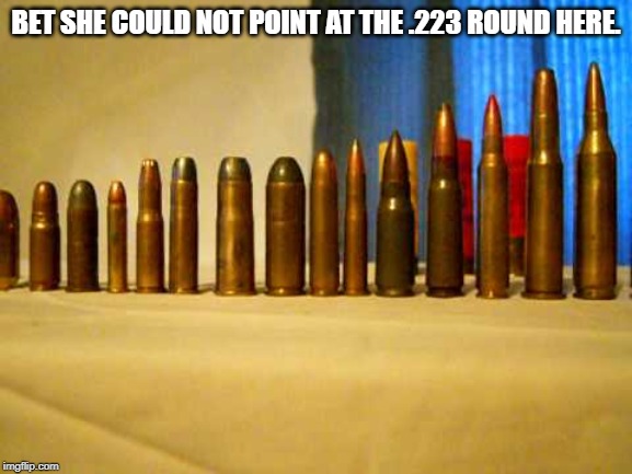 BET SHE COULD NOT POINT AT THE .223 ROUND HERE. | made w/ Imgflip meme maker