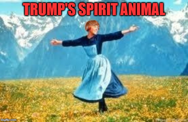 Look At All These | TRUMP'S SPIRIT ANIMAL | image tagged in memes,look at all these | made w/ Imgflip meme maker