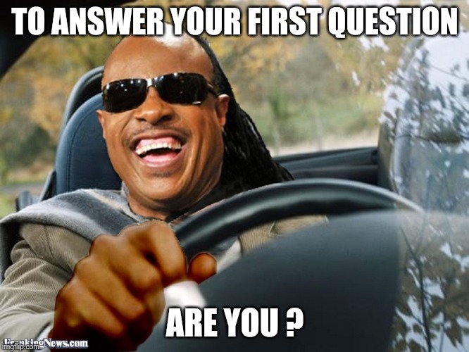 Stevie Wonder Driving | TO ANSWER YOUR FIRST QUESTION ARE YOU ? | image tagged in stevie wonder driving | made w/ Imgflip meme maker