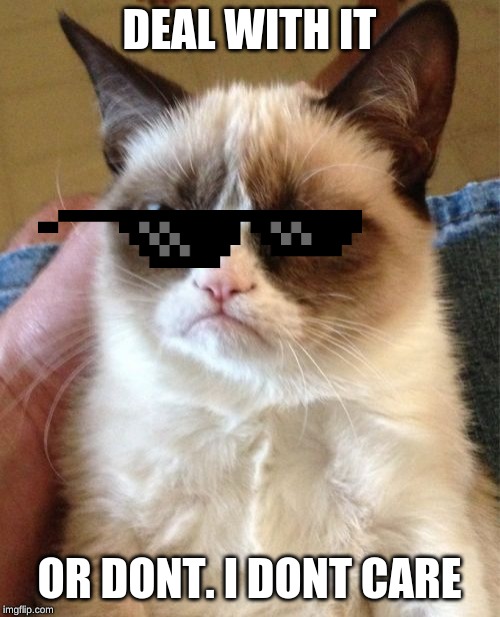 Grumpy Cat Meme | DEAL WITH IT OR DONT. I DONT CARE | image tagged in memes,grumpy cat | made w/ Imgflip meme maker