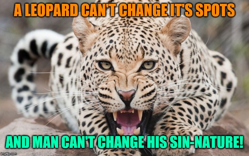 A Leopard Can't Change It's Spots | A LEOPARD CAN'T CHANGE IT'S SPOTS; AND MAN CAN'T CHANGE HIS SIN-NATURE! | image tagged in a leopard can't change it's spots | made w/ Imgflip meme maker