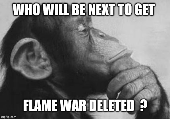 Monkey Rodin Thinker | WHO WILL BE NEXT TO GET; FLAME WAR DELETED  ? | image tagged in monkey rodin thinker | made w/ Imgflip meme maker