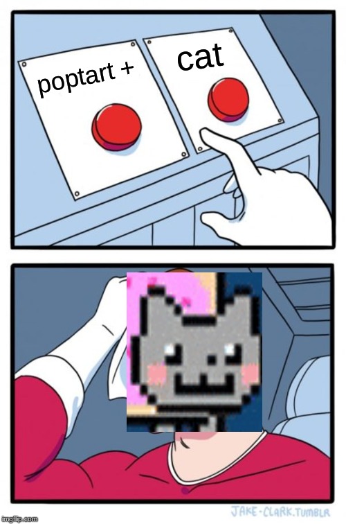 Two Buttons Meme | cat; poptart + | image tagged in memes,two buttons | made w/ Imgflip meme maker