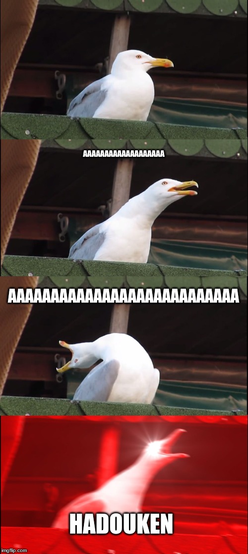 Inhaling Seagull | AAAAAAAAAAAAAAAAAAA; AAAAAAAAAAAAAAAAAAAAAAAAAAA; HADOUKEN | image tagged in memes,inhaling seagull | made w/ Imgflip meme maker