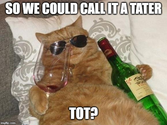 Funny Cat Birthday | SO WE COULD CALL IT A TATER TOT? | image tagged in funny cat birthday | made w/ Imgflip meme maker