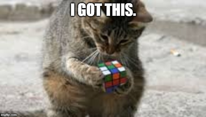 Cat Rubiks Cube | I GOT THIS. | image tagged in cat rubiks cube | made w/ Imgflip meme maker