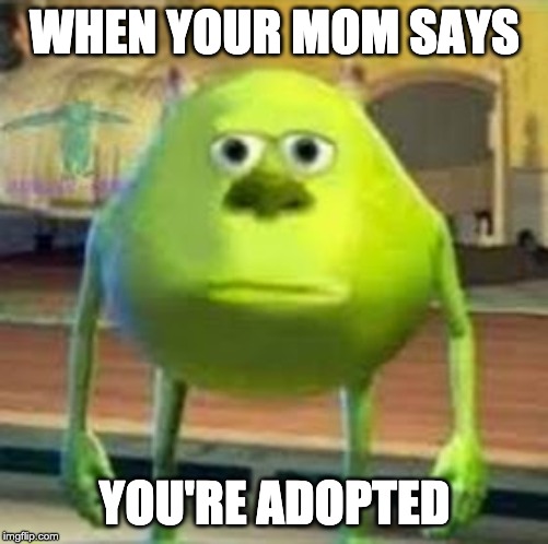 WHEN YOUR MOM SAYS; YOU'RE ADOPTED | made w/ Imgflip meme maker