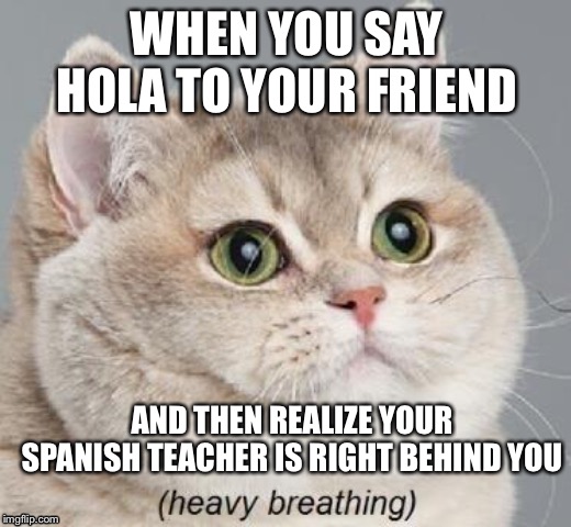 You’re not allowed to know I do my homework | WHEN YOU SAY HOLA TO YOUR FRIEND; AND THEN REALIZE YOUR SPANISH TEACHER IS RIGHT BEHIND YOU | image tagged in memes,heavy breathing cat | made w/ Imgflip meme maker