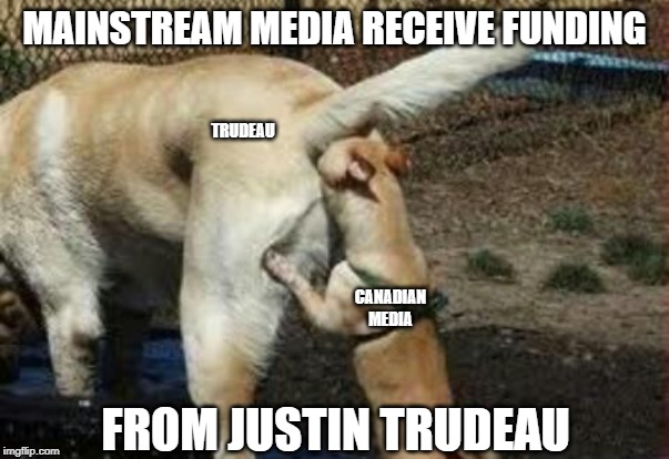 Anything he wants | MAINSTREAM MEDIA RECEIVE FUNDING; TRUDEAU; CANADIAN MEDIA; FROM JUSTIN TRUDEAU | image tagged in brown noser,justin trudeau,trudeau,mainstream media,biased media,media bias | made w/ Imgflip meme maker