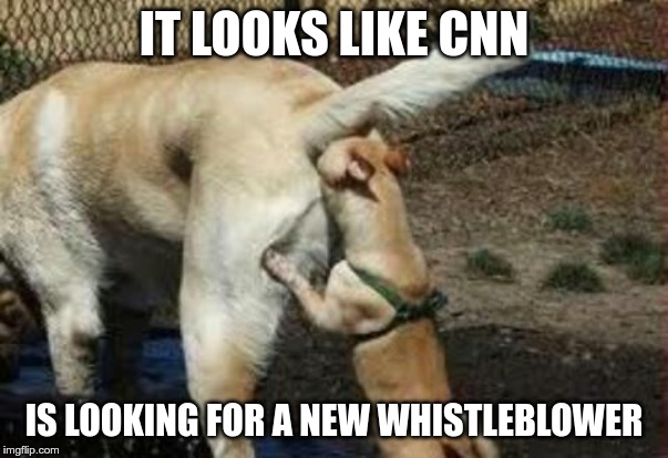 Brown noser | IT LOOKS LIKE CNN; IS LOOKING FOR A NEW WHISTLEBLOWER | image tagged in brown noser | made w/ Imgflip meme maker