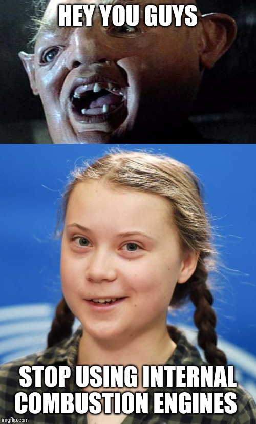 HEY YOU GUYS; STOP USING INTERNAL COMBUSTION ENGINES | image tagged in sloth goonies hey you guys,greta thunberg | made w/ Imgflip meme maker