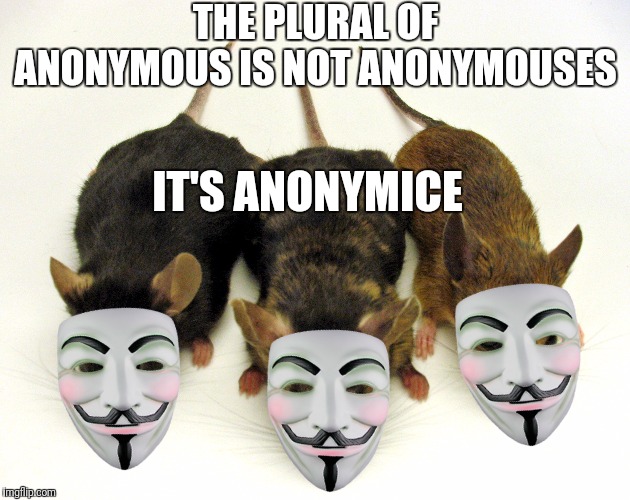 THE PLURAL OF ANONYMOUS IS NOT ANONYMOUSES IT'S ANONYMICE | made w/ Imgflip meme maker