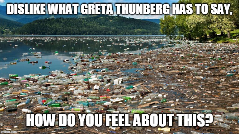 DISLIKE WHAT GRETA THUNBERG HAS TO SAY, HOW DO YOU FEEL ABOUT THIS? | image tagged in garbage | made w/ Imgflip meme maker