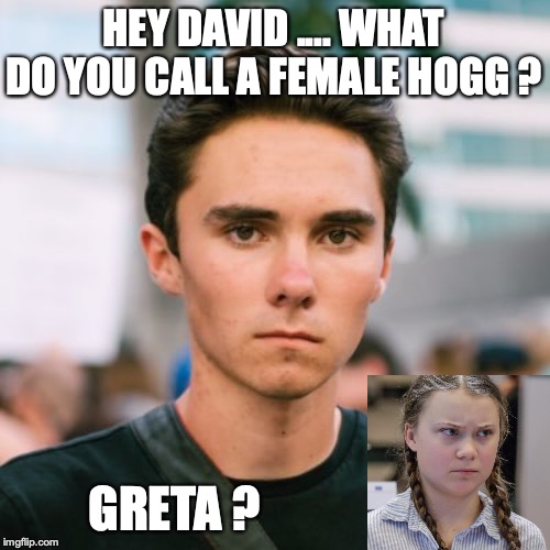 David Hogg | HEY DAVID .... WHAT DO YOU CALL A FEMALE HOGG ? GRETA ? | image tagged in david hogg | made w/ Imgflip meme maker