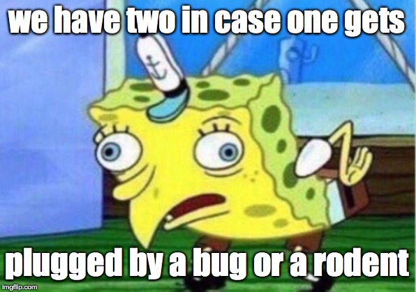 Mocking Spongebob Meme | we have two in case one gets plugged by a bug or a rodent | image tagged in memes,mocking spongebob | made w/ Imgflip meme maker