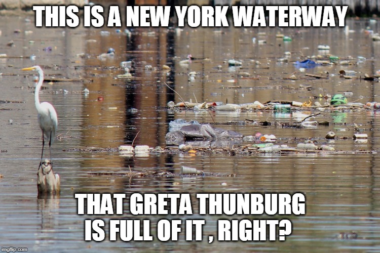 THIS IS A NEW YORK WATERWAY; THAT GRETA THUNBURG IS FULL OF IT , RIGHT? | image tagged in new york | made w/ Imgflip meme maker