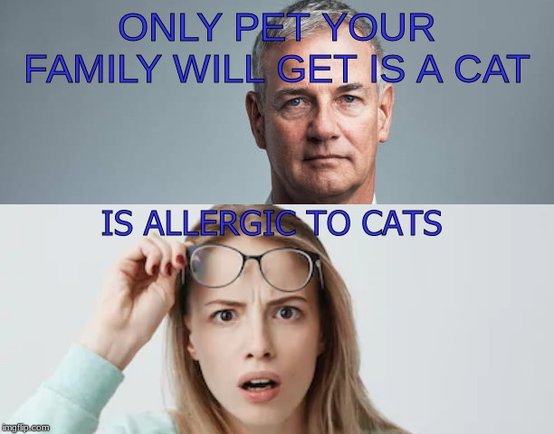  ONLY PET YOUR FAMILY WILL GET IS A CAT; IS ALLERGIC TO CATS | image tagged in why,what,hold on | made w/ Imgflip meme maker