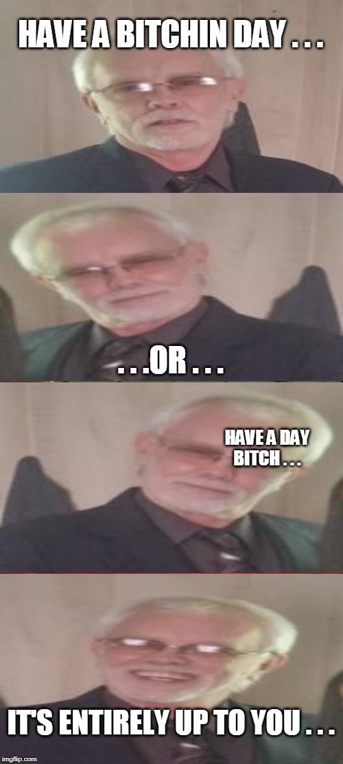 Choices | HAVE A BITCHIN DAY . . . . . .OR . . . HAVE A DAY BITCH . . . IT'S ENTIRELY UP TO YOU . . . | image tagged in memes,you | made w/ Imgflip meme maker