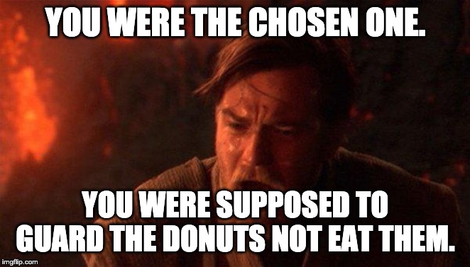 You Were The Chosen One (Star Wars) Meme | YOU WERE THE CHOSEN ONE. YOU WERE SUPPOSED TO GUARD THE DONUTS NOT EAT THEM. | image tagged in memes,you were the chosen one star wars | made w/ Imgflip meme maker