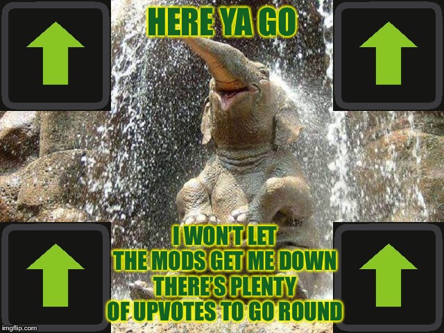 Upvote Elephant | HERE YA GO I WON’T LET THE MODS GET ME DOWN THERE’S PLENTY OF UPVOTES TO GO ROUND | image tagged in upvote elephant | made w/ Imgflip meme maker