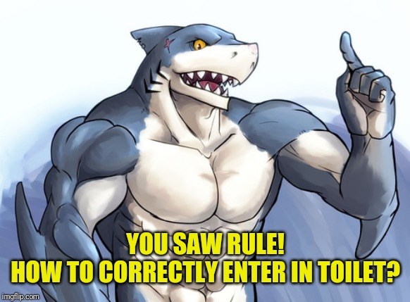 How to idea? | YOU SAW RULE!
HOW TO CORRECTLY ENTER IN TOILET? | image tagged in how to idea | made w/ Imgflip meme maker