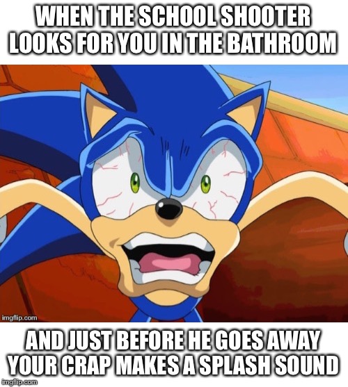 He Sure Scared The $#@& Out Of Me! |  WHEN THE SCHOOL SHOOTER LOOKS FOR YOU IN THE BATHROOM; AND JUST BEFORE HE GOES AWAY YOUR CRAP MAKES A SPLASH SOUND | image tagged in sonic scared face,pooping,school shooting,potty humor,bathroom,oh shit | made w/ Imgflip meme maker