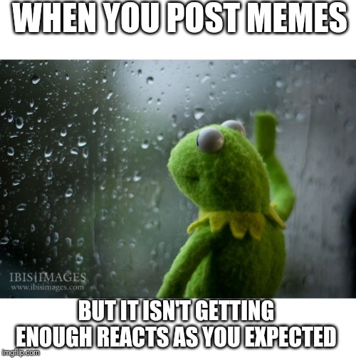 kermit window | WHEN YOU POST MEMES; BUT IT ISN'T GETTING ENOUGH REACTS AS YOU EXPECTED | image tagged in kermit window | made w/ Imgflip meme maker