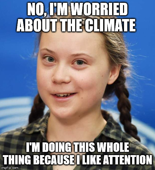 Greta Thunberg | NO, I'M WORRIED ABOUT THE CLIMATE; I'M DOING THIS WHOLE THING BECAUSE I LIKE ATTENTION | image tagged in greta thunberg | made w/ Imgflip meme maker