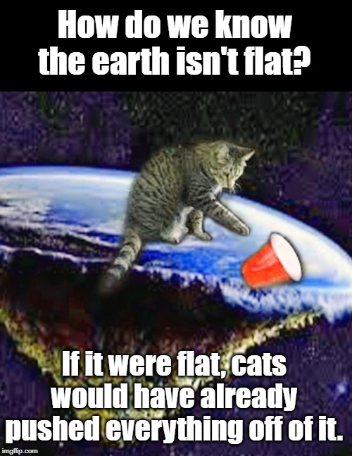 Naughty cat | How do we know the earth isn't flat? If it were flat, cats would have already pushed everything off of it. | image tagged in cat | made w/ Imgflip meme maker