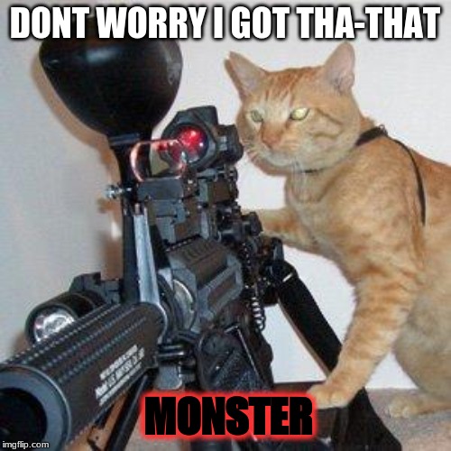 cat with gun | DONT WORRY I GOT THA-THAT MONSTER | image tagged in cat with gun | made w/ Imgflip meme maker