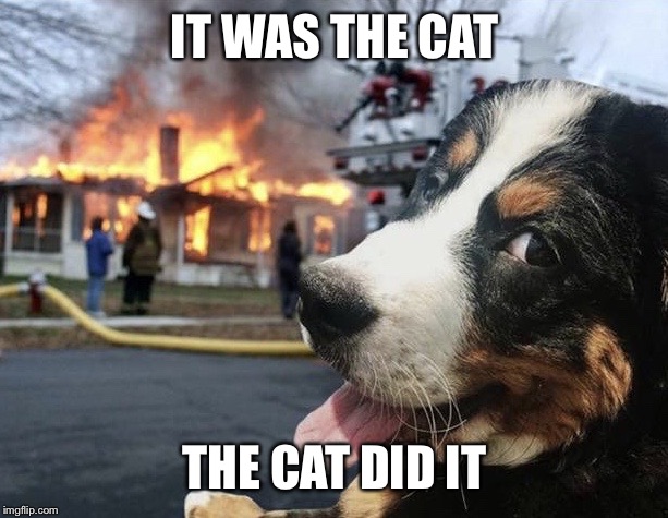 Disaster Dog | IT WAS THE CAT; THE CAT DID IT | image tagged in disaster dog | made w/ Imgflip meme maker