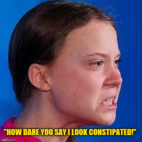 Greta Thunberg | "HOW DARE YOU SAY I LOOK CONSTIPATED!" | image tagged in greta thunberg | made w/ Imgflip meme maker