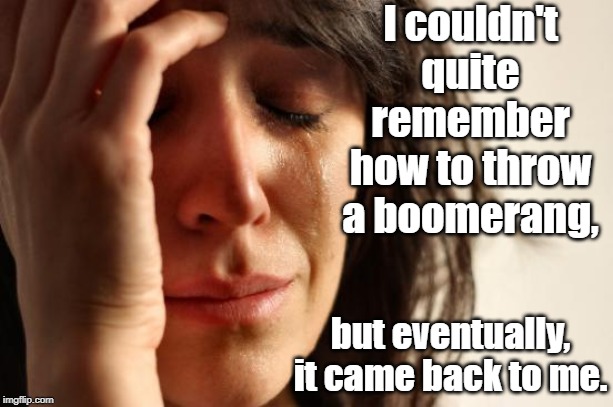 First World Problems | I couldn't quite remember how to throw a boomerang, but eventually, it came back to me. | image tagged in memes,first world problems | made w/ Imgflip meme maker