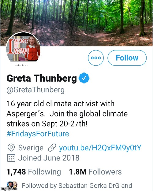 Greta thunberg | image tagged in greta thunberg | made w/ Imgflip meme maker