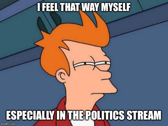 Futurama Fry Meme | I FEEL THAT WAY MYSELF ESPECIALLY IN THE POLITICS STREAM | image tagged in memes,futurama fry | made w/ Imgflip meme maker