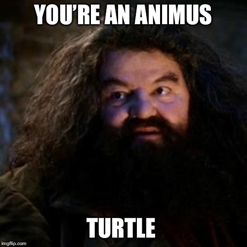 You're a wizard harry - Imgflip