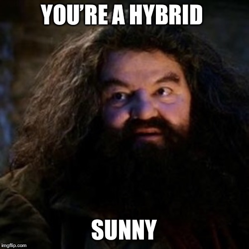 You're a wizard harry - Imgflip