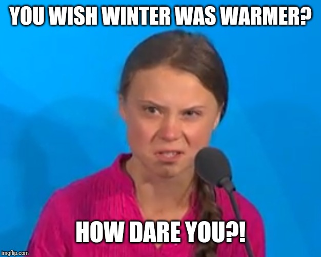 How dare you? | YOU WISH WINTER WAS WARMER? HOW DARE YOU?! | image tagged in how dare you | made w/ Imgflip meme maker