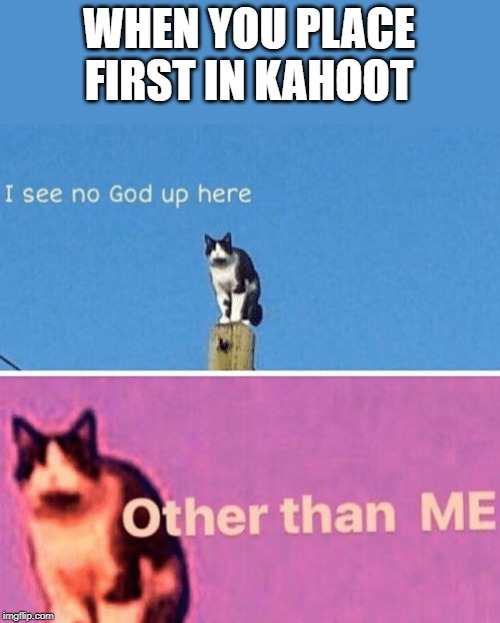 Hail pole cat | WHEN YOU PLACE FIRST IN KAHOOT | image tagged in hail pole cat | made w/ Imgflip meme maker