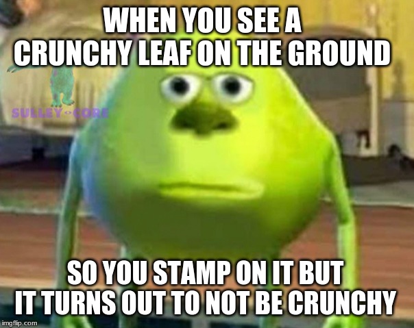 Monsters Inc | WHEN YOU SEE A CRUNCHY LEAF ON THE GROUND; SO YOU STAMP ON IT BUT IT TURNS OUT TO NOT BE CRUNCHY | image tagged in monsters inc | made w/ Imgflip meme maker