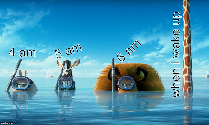 6 am; 5 am; 4 am; when i wake up | image tagged in dick jokes,madagascar,melman | made w/ Imgflip meme maker