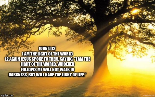 Wendy McAvene Daily Scripture | JOHN 8:12 
I AM THE LIGHT OF THE WORLD
12 AGAIN JESUS SPOKE TO THEM, SAYING, “I AM THE LIGHT OF THE WORLD. WHOEVER FOLLOWS ME WILL NOT WALK IN DARKNESS, BUT WILL HAVE THE LIGHT OF LIFE.” | image tagged in nature | made w/ Imgflip meme maker