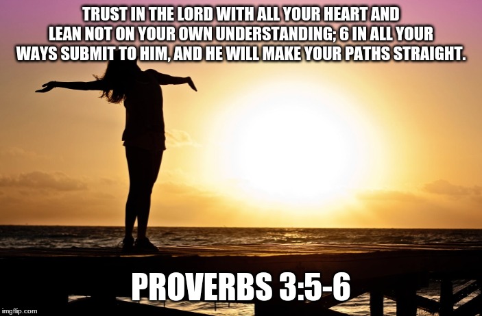 Wendy McAvene Daily scripture | TRUST IN THE LORD WITH ALL YOUR HEART AND LEAN NOT ON YOUR OWN UNDERSTANDING; 6 IN ALL YOUR WAYS SUBMIT TO HIM, AND HE WILL MAKE YOUR PATHS STRAIGHT. PROVERBS 3:5-6 | image tagged in wendy mcavene daily scripture | made w/ Imgflip meme maker