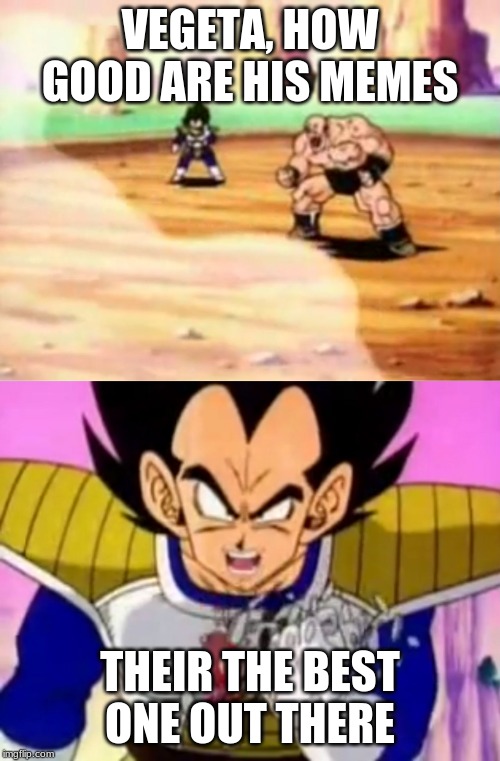 over 9000 | VEGETA, HOW GOOD ARE HIS MEMES; THEIR THE BEST ONE OUT THERE | image tagged in over 9000 | made w/ Imgflip meme maker